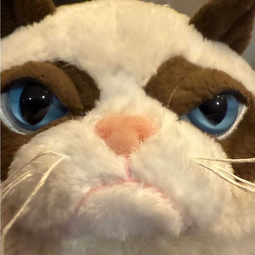๐พ Grumpy Cat - Plush Toy - Picture 2 of 5